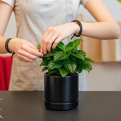 D'vine Dev 4-Pack Ceramic Pots with Saucers, Black, 4.7 in, 94-X-B-2 | Glazed Ceramic, Drainage Hole and Saucer, Sleek Cylinder Shape, High Temperature Fired, Ideal for Small Houseplants - color: Black, size: 4.7 Inch