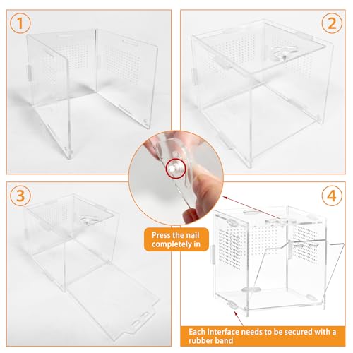 VERTUPET Jumping Spider Enclosure,2 Pack Insects Habitat,Small Arboreal Reptile Terrarium Acrylic Accessories Kit,Tarantula Enclosure Bug Cage for Frog,Crickets, Praying Mantis,Snails（4x4x4inch）
