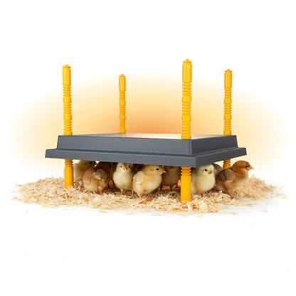 Hatching Time Warmzy 14"x14" Chick Heating Plate – Safe 30W Chicken Coop Heater for 25–30 Chicks with Adjustable Legs | Gentle Low-Heat Brooder Plate for Chicks, Durable Fire-Resistant Chicken Heater - size: 14'"x14" for 25-30 chicks