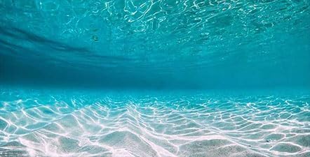 24X12IN Natural Undersea Aquarium Background, Undersea Beach Fish Tank Background, with 8 EVA Double-Sided Tape - color: Sea, size: 24X12in/60X30cm