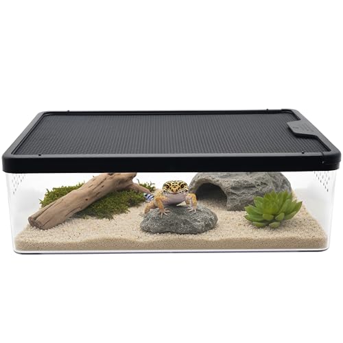 Plastic Reptile Terrarium 12.6" x 8.7" x 3.9" | Clear Viewing Easy Observation Idea for Feeding, Breeding, Quarantine