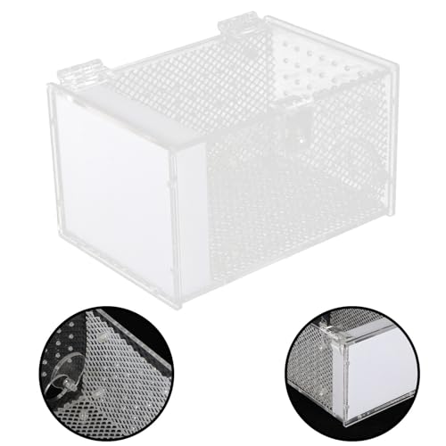 White Acrylic Reptile Breeding Box Ventilation Holes and Moisture, Spider Feeding Container Suitable for Home Use and Display