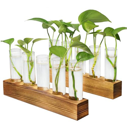 Plant Propagation Station, 10 Glass Test Tube with Wooden Stand | Plant Terrarium for Hydroponics Plants Office Decor Unique Gardening Gifts for Women Plants Lovers - size: 10 Test Tube
