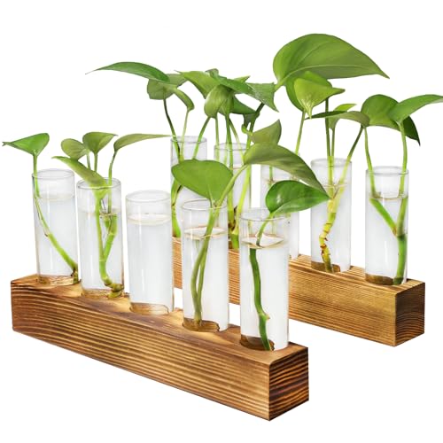 Plant Propagation Station, 10 Glass Test Tube with Wooden Stand | Plant Terrarium for Hydroponics Plants Office Decor Unique Gardening Gifts for Women Plants Lovers - size: 10 Test Tube