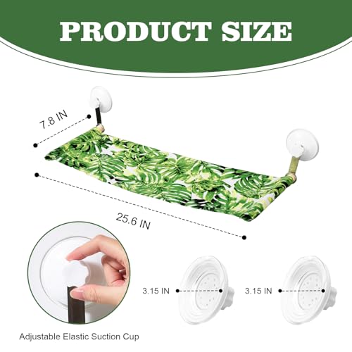 Bearded Dragon Hammock for Window, Bearded Dragon Window Perch with Suction Cups, Reptile Tank Accessories Suitable for Lizard Leopard Gecko Chameleon Kitten Rat (Green)