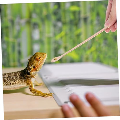 2pcs Reptile Food Spoon Long Handle Feeding Tool for Lizards and Small Pets Stainless Steel Design for Easy Feeding and Convenience - color: Golden