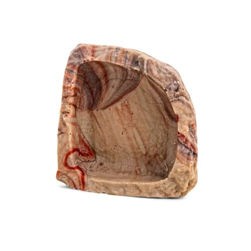 Fluker's Food and Water Reptile Corner Bowl, Large 9" - size: Large