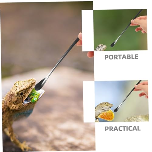 Toddmomy 3pcs Reptile Food Spoon Lizard Feeding Spoon for Wet Food Reptile Dish Tool Pet Supply