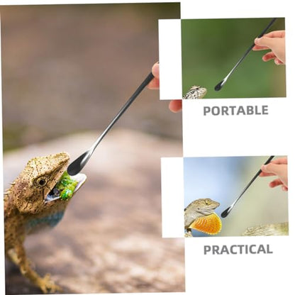 Toddmomy 3pcs Reptile Food Spoon Lizard Feeding Spoon for Wet Food Reptile Dish Tool Pet Supply