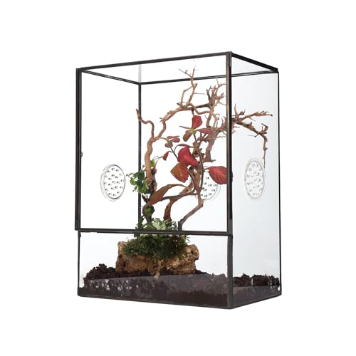 NCYP Glass Terrarium with Front Opening Door and 3 Vents for Insects, Snail, Spider, Glass Enclosure - 8"x4.5"x10" Clear Closed Plant Greenhouse Box (Terrarium Only)