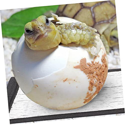 3sets Multifunctional Insulation Pad Reptile Basking Platform Heat Pad for Snakes Lizards 3pcs*3
