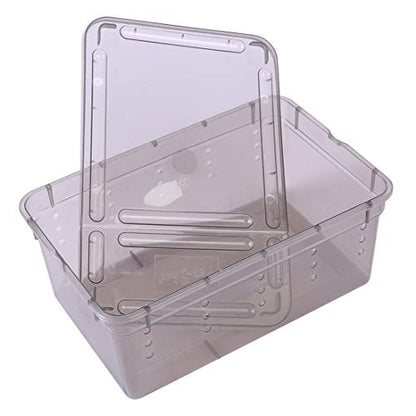 Breeding Box 5pcs, Reptile Dish Feeding Box Food Container with Lid Small (Transparent Black S)