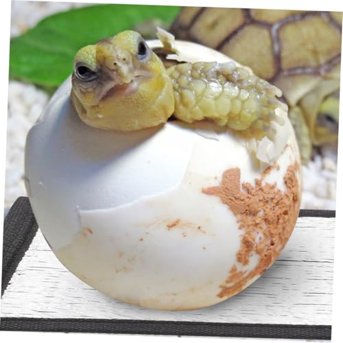 Happyyami Insulation Pad Reflective Film Under Tank Heater for Reptiles Reptile Heating Pad for Snake Lizard Turtle Efficient Heat Tape - size: 16.00X16.00X0.10CM