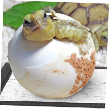 Happyyami Insulation Pad Reflective Film Under Tank Heater for Reptiles Reptile Heating Pad for Snake Lizard Turtle Efficient Heat Tape - size: 16.00X16.00X0.10CM