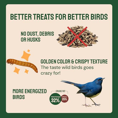 Hatortempt 2lb Dried Mealworms for Chickens, Birds, High Protein Bird Feed | High-Protein Wild Bird Food - Organic Diet Meal Worms - Hand Inspected Treats for Blue Birds, Robin, Ducks - 2 Yr Shelf Life - size: 2 Pound (Pack of 1)