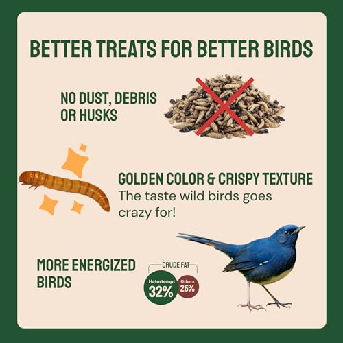 Hatortempt 1.8lb Dried Mealworms for Chickens, High Protein Bird Feed | High-Protein Blue Bird Food - Organic Diet Meal Worms - Hand Inspected Treats for Blue Birds, Robin, Ducks - 2 Yr Shelf Life - size: 1.8 Pound (Pack of 1)
