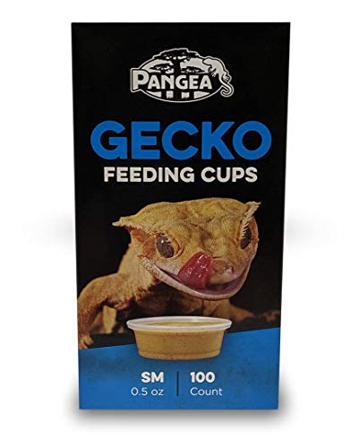 Pangea Small Gecko Food & Water Cups 100 ct