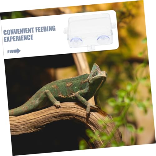 TOYANDONA Reptile Feeding Ledge Reptile Tongs Feeding Suction Cup Food Bowl Insect Water Feeder Bearded Dragon Food Dish