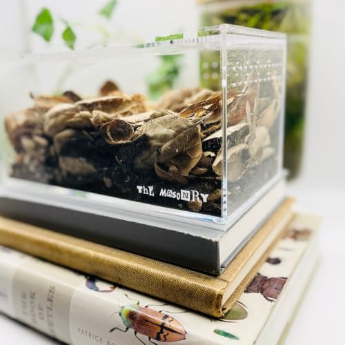 THE MASONRY | Isopod Terrarium Starter Kit | Roly Poly Farm Kit with Acrylic Terrarium and Container Accessories Including Leaf Litter Substrate, Soil Base, Moss, Calcium | Bug Terrarium Kit