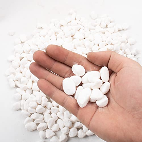 Black Pebbles for Plants 1.8lb Bulk Bag Aquarium Gravel 0.8"- 1.2" Decorative Polished Fish Tank Stone - size: 1.8LB, style: Black