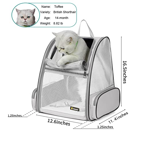 Texsens Innovative Traveler Bubble Backpack Pet Carriers for Cats and Dogs - color: Light Grey