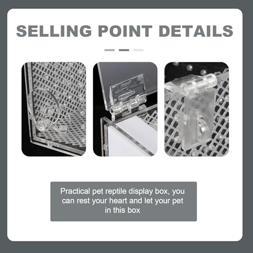White Acrylic Reptile Breeding Box Ventilation Holes and Moisture, Spider Feeding Container Suitable for Home Use and Display