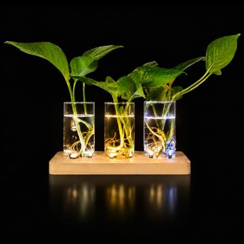 3 Pcs Plant Propagation Terrarium with Wooden Stand | 6 Pcs Wireless LED Light, Desktop Glass Planter Station, Water Planting Glass Vase, Hydroponic Plants, DIY Centerpiece Decor