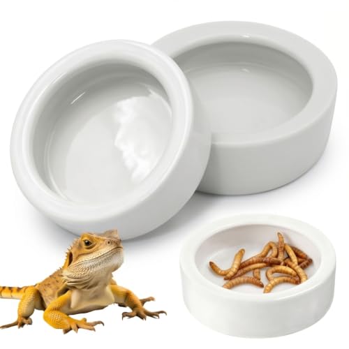 Reptile Food Dish Bowl, 2 Pack Lizard Gecko Ceramic Mealworms Bowls for Leopard Bearded Dragon Chameleon Hermit Crab Dubia Cricket Anti-Escape Superworm Feeder (Medium-2Pack) - size: Medium-2Pack