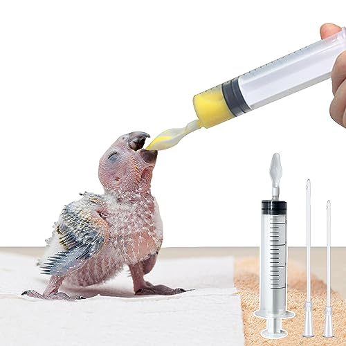 Baby Bird Feeding Syringe,Parrot Small Pet,Manual Syringe Feeder, Milk Water,Liquid Food,Reusable,Syringe with Spoon Tip
