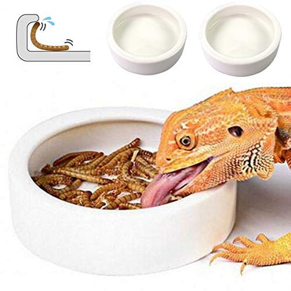 Reptile Food Dish Bowl 2Pcs Lizard Gecko Worm Water Bowls Small (2.75in) | Anti-escape Ceramic Mealworms Bowls for Leopard Bearded Dragon Chameleon Hermit Crab Dubia Cricket Feeding, Superworm Feeder