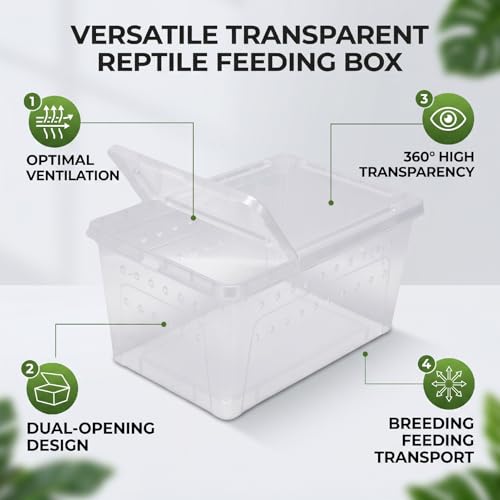 Luocute 2PCS Reptile Feeding Box, Transparent Portable Plastic Reptiles Breeding Enclosure Transport Container for Bearded Dragon Lizard Spider (L)
