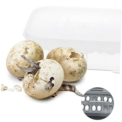Reptile Incubation Hatchery Box Transparent Incubator for Geckos Snakes and Lizards Lightweight and Easy to Clean Hatching Container for Breeding Reptiles