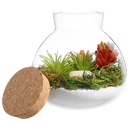 KALLORY Sealed Glass Plant Bottle with Cork Stopper for Miniature Ecosystems 15Cm X 16Cm Round Glass Terrarium Container for Home Garden Decor