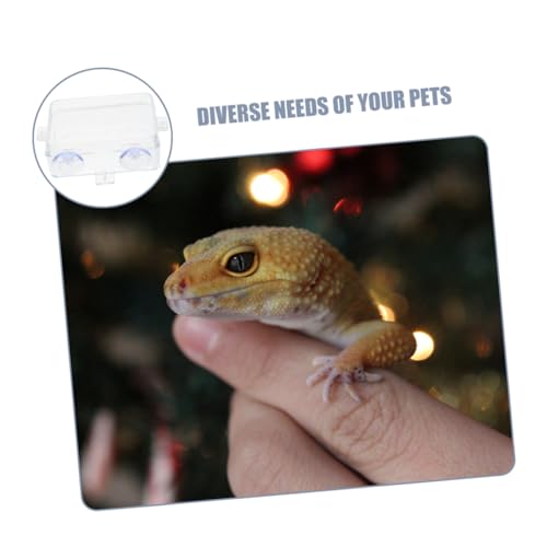 TOYANDONA Reptile Feeding Ledge Reptile Tongs Feeding Suction Cup Food Bowl Insect Water Feeder Bearded Dragon Food Dish