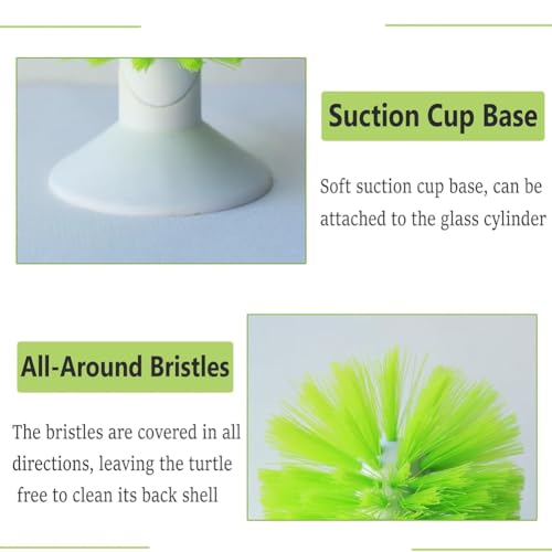 Turtle Brush with Suction Cup for Tank Scratches Back Brush Shell Cleaning Brush Scrub Red Eared Slider Turtle Exfoliate Brush for Remove Turtle Shell Scutes (Grey) - color: Gray