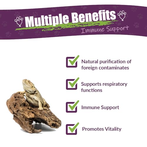 AMBER NATURALZ Reptaid for Reptiles Under 250g, Immune & Respiratory, 1 OZ | Supports immune & upper respiratory function, eye & mouth health, appetite & vitality. Formulated for pets under 250g. - size: 1 oz