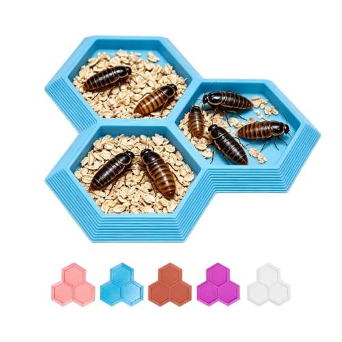 Dubia Roach Large Feeder Bowl, 5 PCS Isopod Food Dish, 3 in 1 Colorful Feeding Water Dish for Live Roach, Isopod, Springtails & Dwarf Invertebrates - color: 5 PCS Dubia Feeding Dish