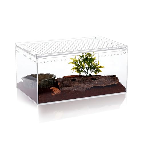 Acrylic Reptile Enclosure, No Assembly Small Reptile Breeding Box for Insect Tarantula Hermit Crab Jumping Spider (12x8x6 in) - size: 12x 8x 6 inch
