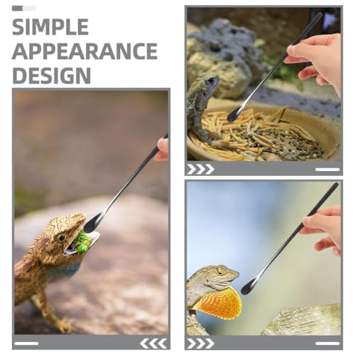 NOLITOY 3pcs Pet Food Spoon for Small Animals Feeding Tool for Bearded Dragons Lizards and Reptiles Compact Design for Easy Use - color: As Shown 2