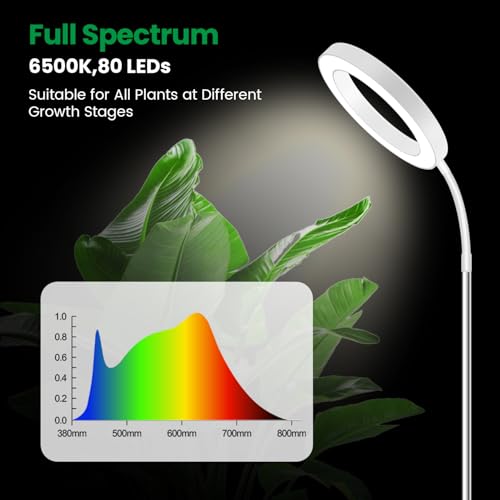 Halo Grow Light, Full Spectrum with Gooseneck, 3 Pack | 6000K Plant Light,3 Colors Modes,5 Dimmable Levels,6/12/16H Timer,65'' Height Adjustable,Soil Insert - size: White-3Pack