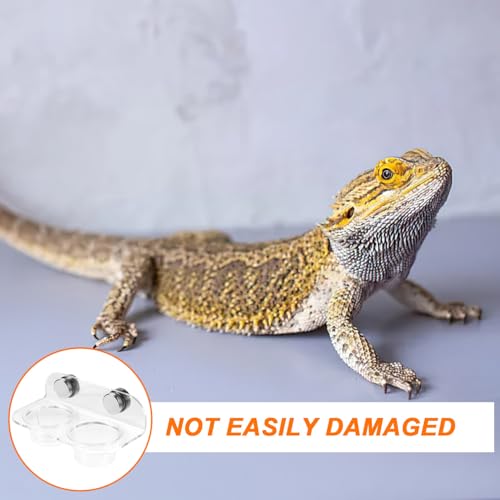 Kisangel Magnetic Reptile Feeding Cup Ledge Gecko Feeder Ledge with 20 Cups Acrylic Food and Water Dish for Small Lizards Terrarium Feeding Rack 4.72 X 2.55 X 2.16 in