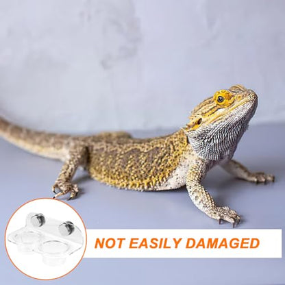 Kisangel Magnetic Reptile Feeding Cup Ledge Gecko Feeder Ledge with 20 Cups Acrylic Food and Water Dish for Small Lizards Terrarium Feeding Rack 4.72 X 2.55 X 2.16 in