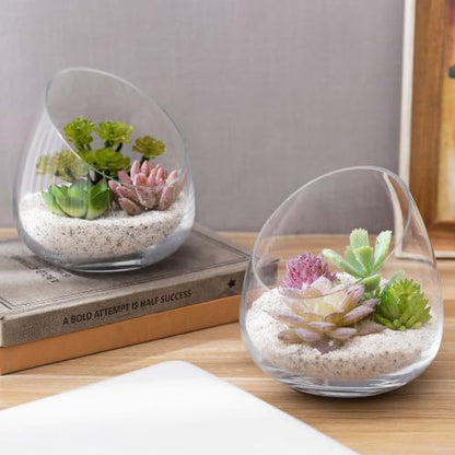 MyGift 5 Inch Premium Clear Glass Air Plant Terrarium, Tealight Candle Holder, Succulent Cactus Plant Vase, Set of 4 - size: Set of 4 (Slanted)