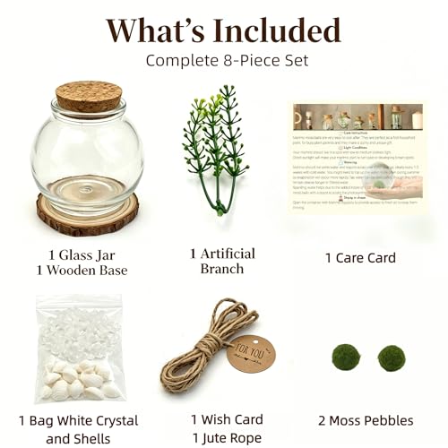 Moss Ball Terrarium Kit – Includes Glass Jar, Cork Lid, Wooden Base, Aquatic Plants, Lucky Clear Quartz & Shells