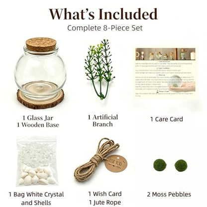 Moss Ball Terrarium Kit – Includes Glass Jar, Cork Lid, Wooden Base, Aquatic Plants, Lucky Clear Quartz & Shells