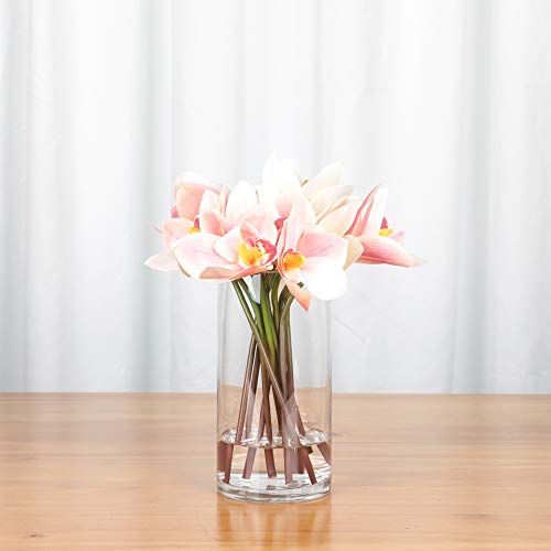 WGV Quality Thick Cylinder Vase, Width 6", Height 8", Clear Glass Container Terrarium Candle Holder for Wedding Centerpiece, Event, Home Decor, 1 Piece - size: 6"x8"H