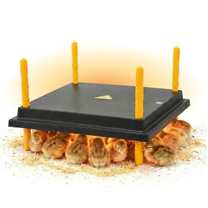 Hatching Time Warmzy 10"x12" Chick Heating Plate – Safe 20W Chicken Coop Heater for 20–25 Chicks with Adjustable Legs | Gentle Low-Heat Brooder Plate for Chicks, Durable Fire-Resistant Chicken Heater - size: 10'" x 12" for 20-25 Chicks
