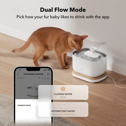PETLIBRO Upgrade Cat Water Fountain, Dockstream 2 Smart App Monitoring Pet Water Fountain for Cats Indoor, 3L/101oz Cat Fountain Stainless Steel Tray for Drinking, 5G WiFi Auto Cat Water Dispenser Dog