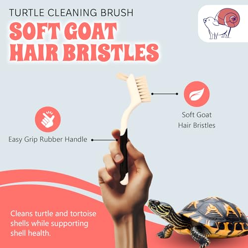 Turtle Cleaning Brush Remove Aquatic Mud, Dirt, & Contaminants from Tortoises Shells & Promoting Shell Health - Goat Hair Bristle Brush with Grip Rubber Handle - White by Snout and Shell - color: White