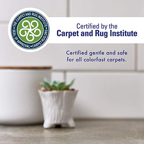 Rocco & Roxie Enzyme Stain & Odor Eliminator, 1 Gallon | Bio-enzymatic urine destroyer; CRI Certified Safe; made in USA; for carpets, bedding, litter boxes, crates & cars - size: 128 Fl Oz (Pack of 1)